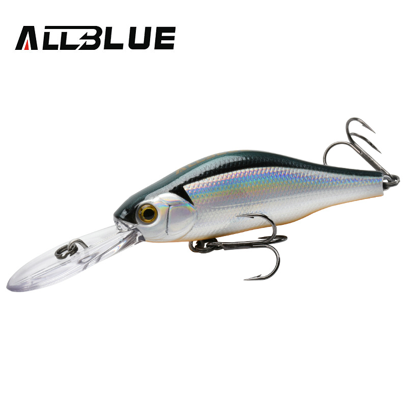 ALLBLUE HUNCH 70SP DR Professi - Fishing Equipment Deals recensie en prijs